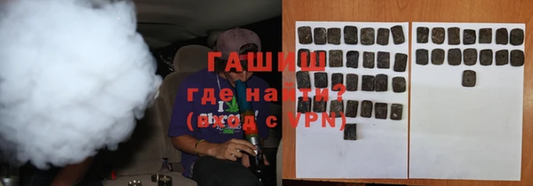 стафф Ельня