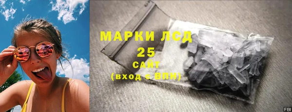стаф Апатиты