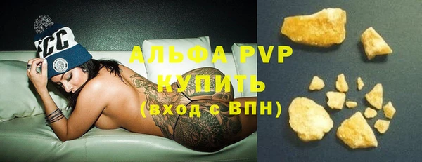 МДПВ Инсар