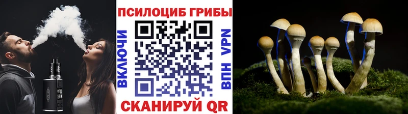 купить закладку  Дно  Галлюциногенные грибы Cubensis 