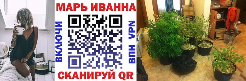Конопля SATIVA & INDICA  Дно 